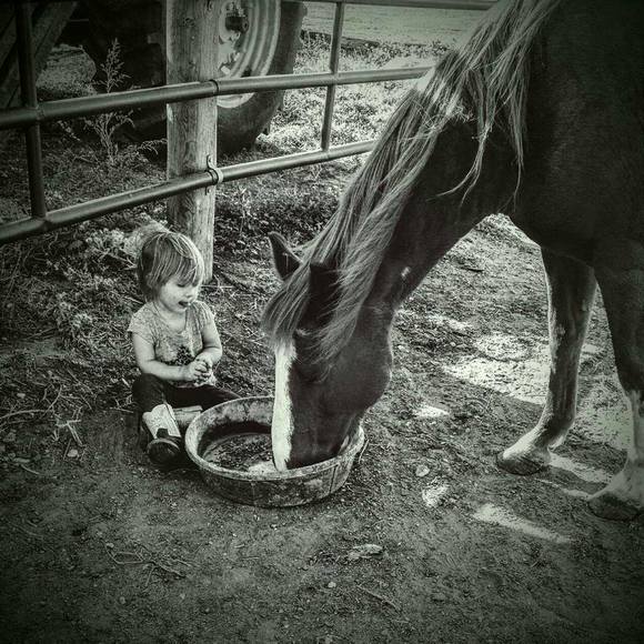 Meet your Posher, Alisa - Picture 1 of 1